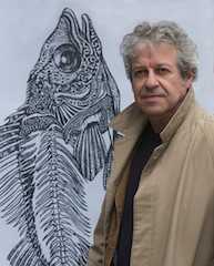 © Raphaël Gaillarde